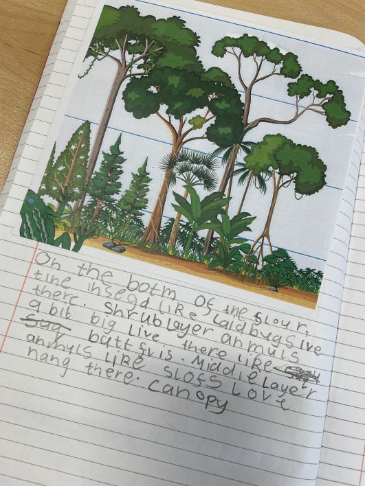 708_708_68c726aa7a6c4a4c485fd413a5c6431f.jpeg?m=1773404725