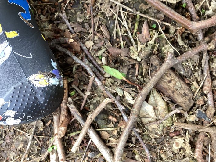 708_708_7a7e9daf06b48791a5feb844afb034ec.jpeg?m=1775211840