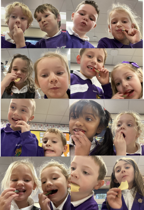 708_708_b49c30c771c4578f01409e1e54e5b3eb.png?m=1768307926