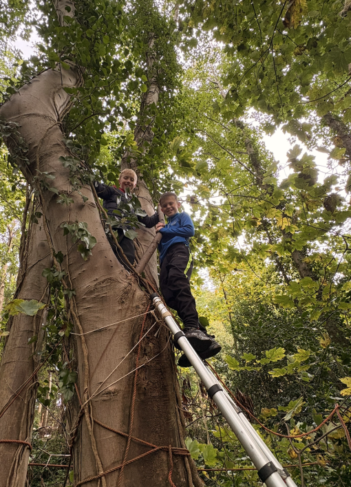 708_708_67d0a7cb52d7f87f4b058319d9c2f957.png?m=1762361181