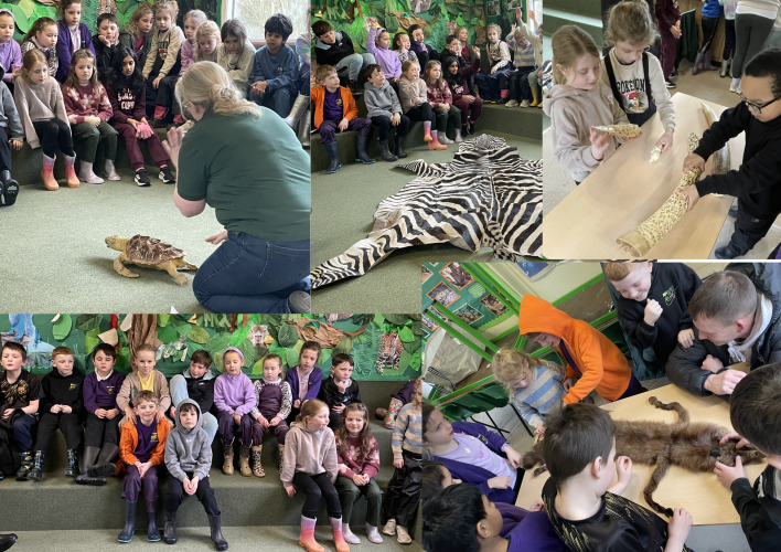 708_708_11cda87407db808f02459b8c2e45f1c6.png?m=1772536814